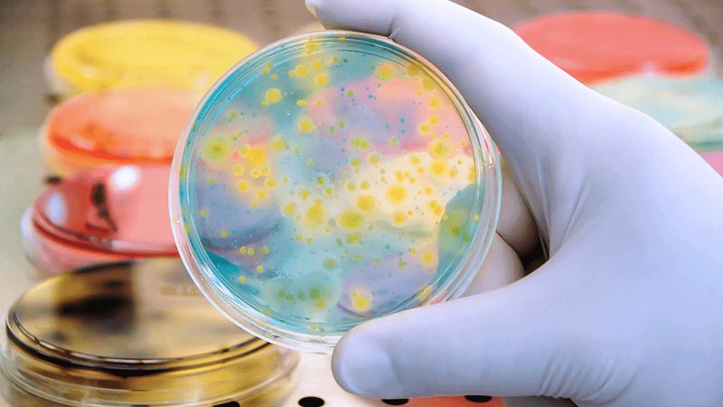 如何挑选上海生物医药研发公司：关注注册合规与安全性**