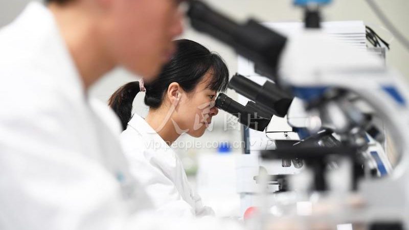 上海抗体研发外包公司的关键考量因素**