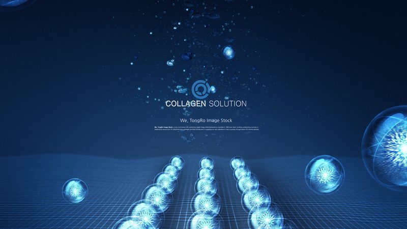 PCR克隆试剂：揭秘其核心原理与选型关键