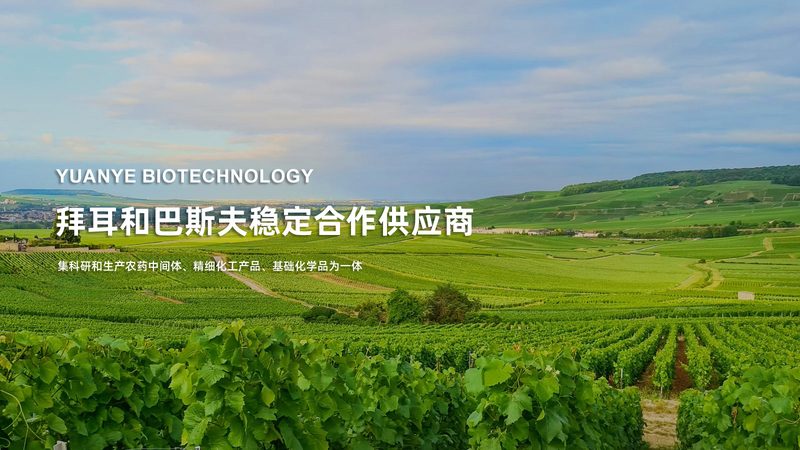 新生儿遗传病基因检测：守护生命起跑线的关键技术**