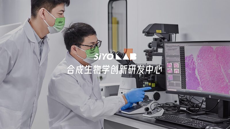 CDMO客户合作流程：揭秘制药外包的神秘面纱