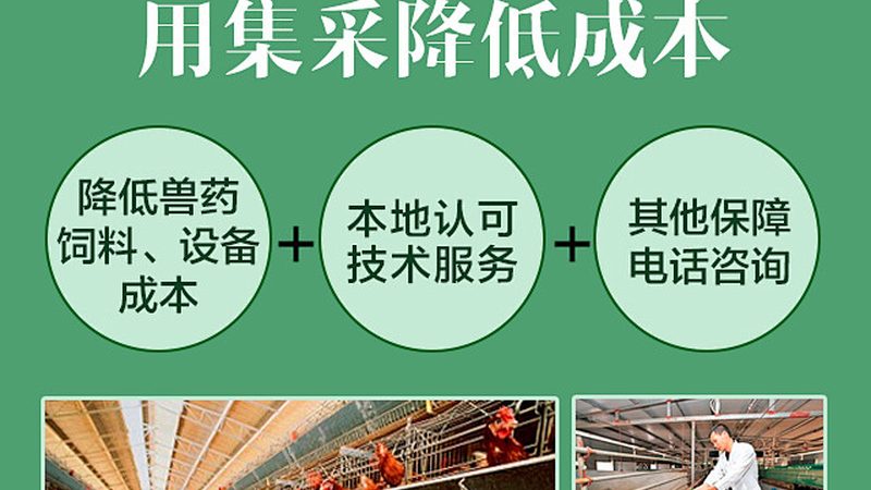 酶与酵素：揭秘两者间的奥秘与区别**