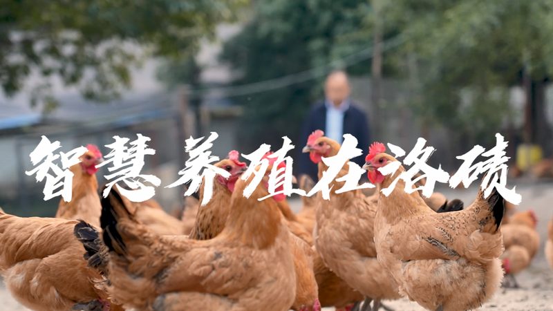 基因测序定制化流程：揭秘精准医疗的幕后步骤