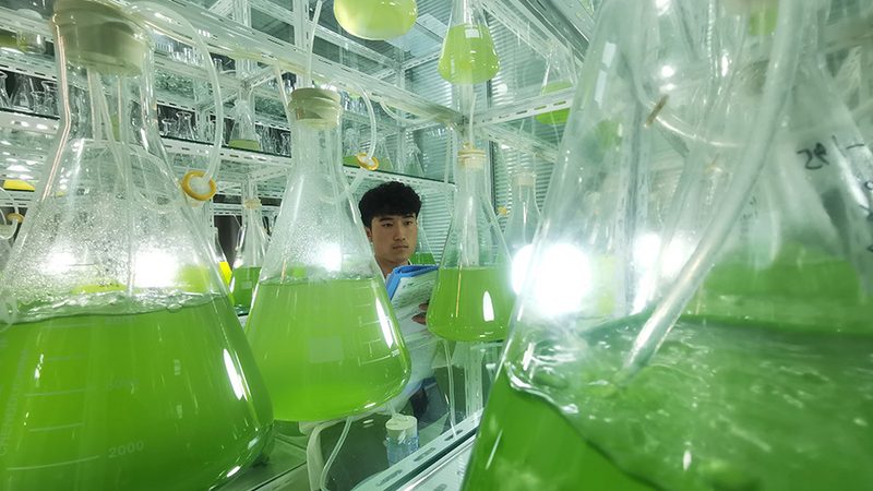 CDMO的质量管理体系直接关系到产品的安全性和有效性。企业应关注以下方面：